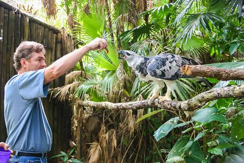BELIZE BIRDWATCHING VACATION