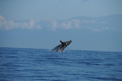 Costa Rica — Where You’re Destined for Adventure