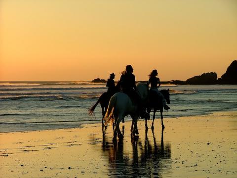 Honeymoon Vacation in Costa Rica