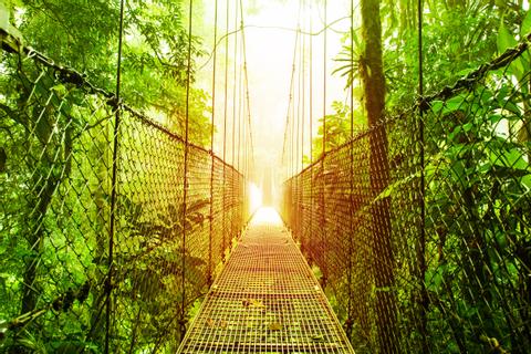 Nature Vacations In Costa Rica
