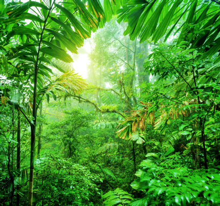 Nature Vacations in Costa Rica