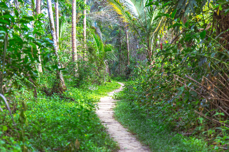 Private Getaways in Costa Rica