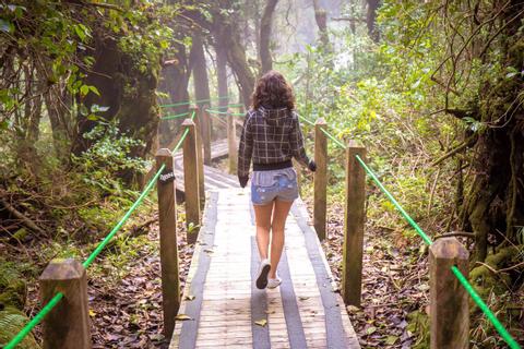 Rainforest Vacations In Costa Rica