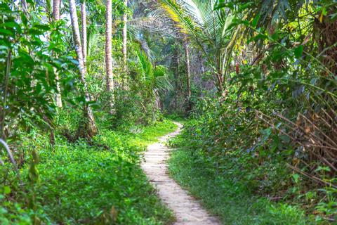 Rainforest Vacations In Costa Rica