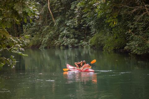 Rainforest Vacations In Costa Rica