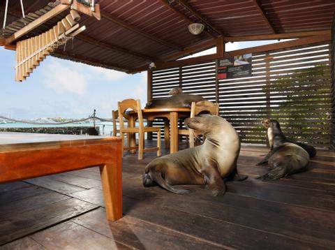 ECUADOR LUXURY VACATION