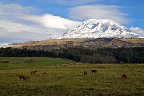 ECUADOR NATURE VACATION