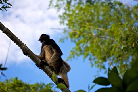 Ecuador RAINFOREST VACATION