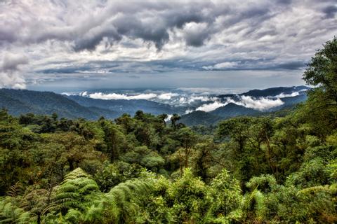 Ecuador RAINFOREST VACATION