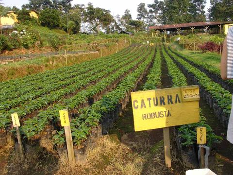 GUATEMALA NATURE VACATION