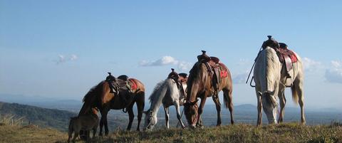GUATEMALA NATURE VACATION