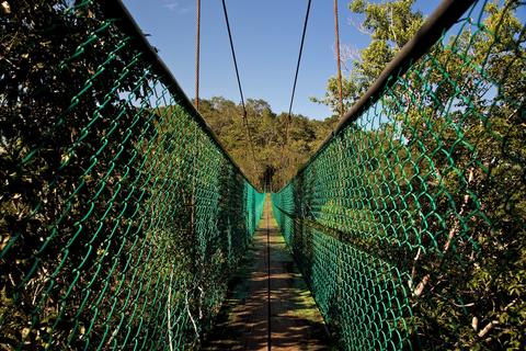 GUATEMALA RAINFOREST VACATION