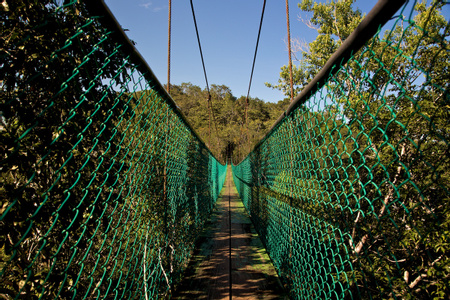 Guatemala Rainforest & Wildlife Vacations