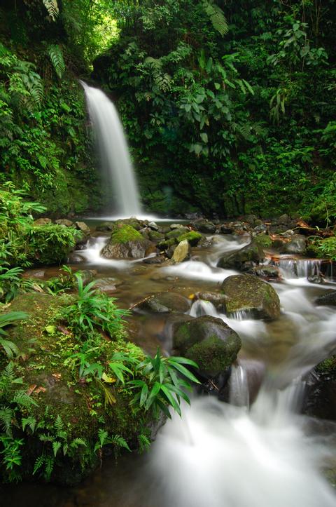 VACACIONES EN LA NATURALEZA DE PANAMÁ