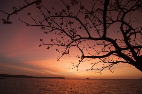 PANAMA ROMANTIC VACATION
