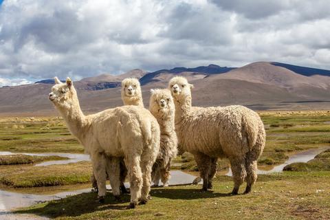 PERU ADVENTURE VACATION