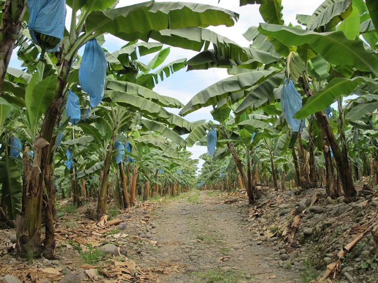 Costa%20Rica