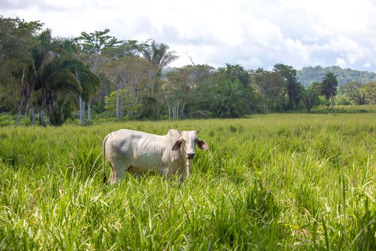 Costa%20Rica