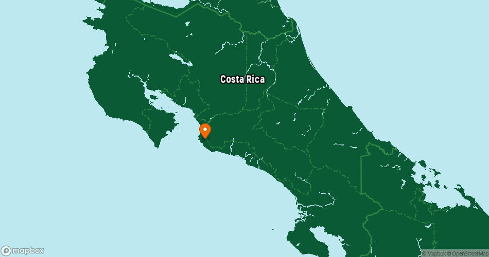 Rain Forest Aerial Trams Pacific Location